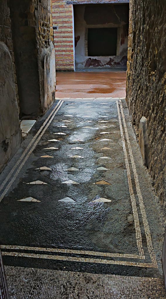 III.3 Herculaneum.  Photo taken between October 2014 and November 2019.
Looking east along mosaic floor in entrance corridor. Photo courtesy of Giuseppe Ciaramella.